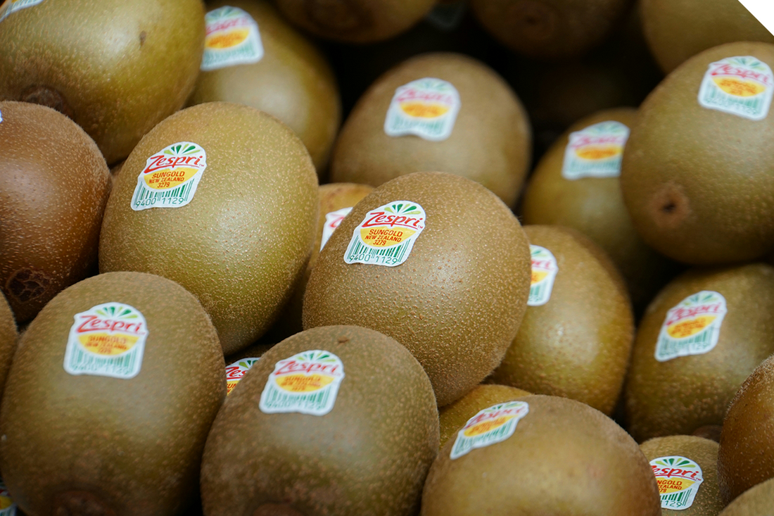 Protecting Precious Kiwi(fruit) at DMS Progrowers Te Puna